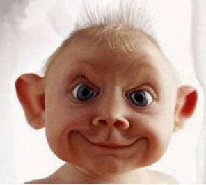 Porcentaje de homosexuales en 1,7% Porcentaje de homosexuales en 1,7%