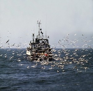 Barco de pesca