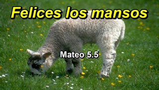 Mansos de corazón Mansos de corazón