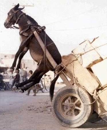 Demasiada carga Demasiada carga